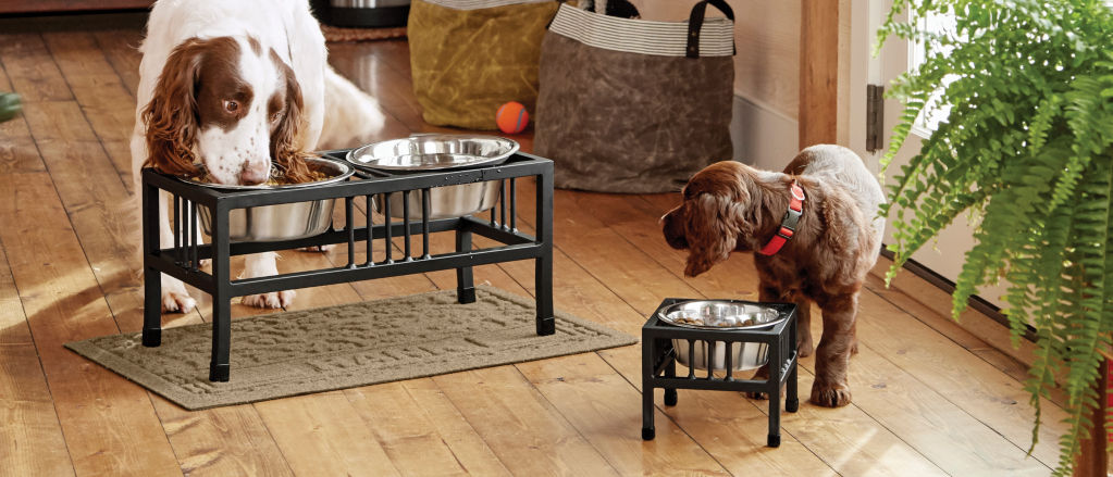 A dog eating from a metal bowl on a wooden floor.