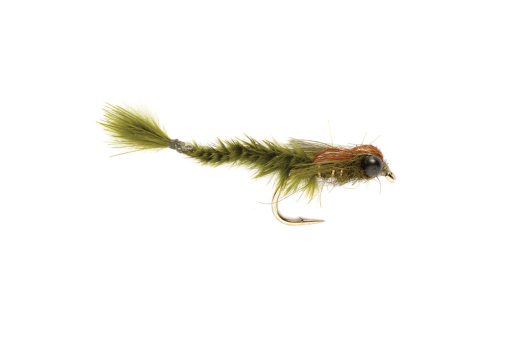 Damsel Fly - Image source: Orvis