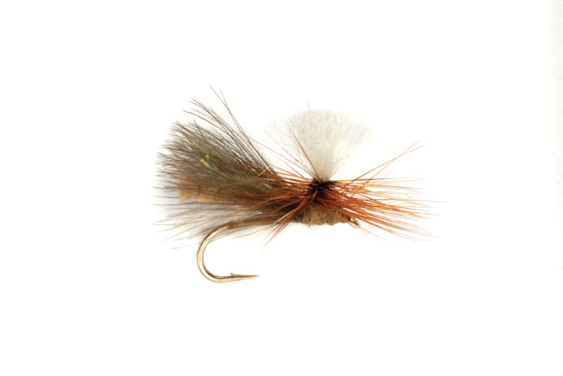 NBK Caddis Dry - TAN