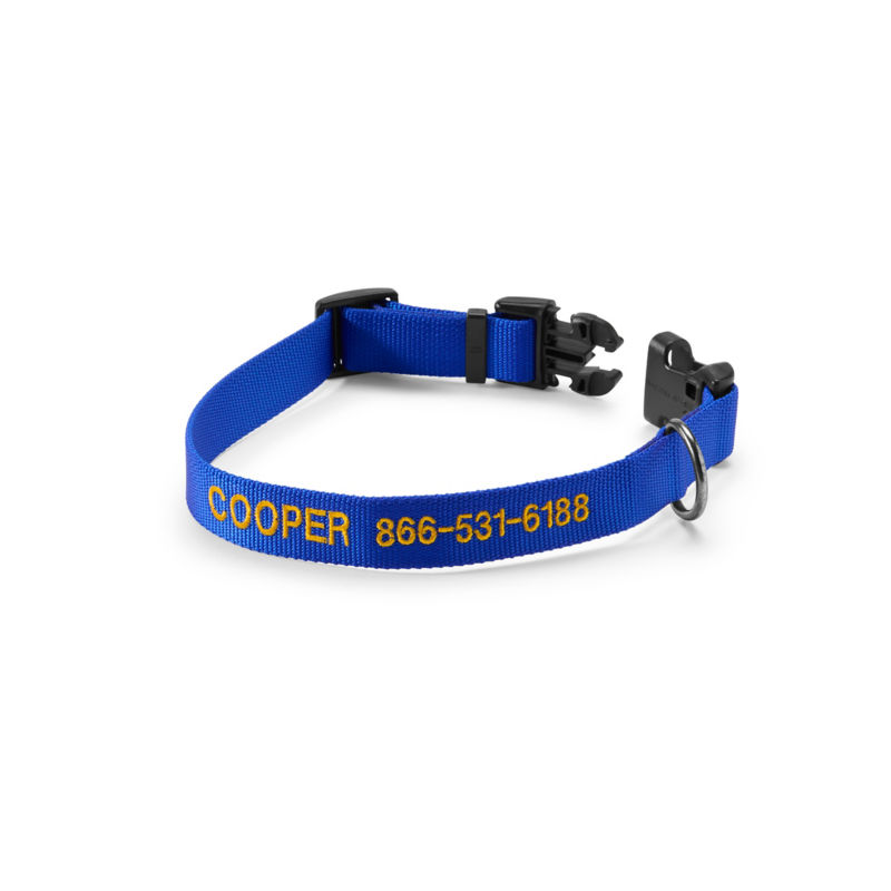 Personalized Side-Release Buckle Collar - BLUE image number 0