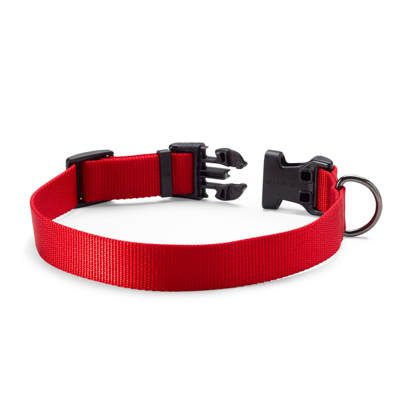 Personalized Side-Release Buckle Collar - RED image number 1
