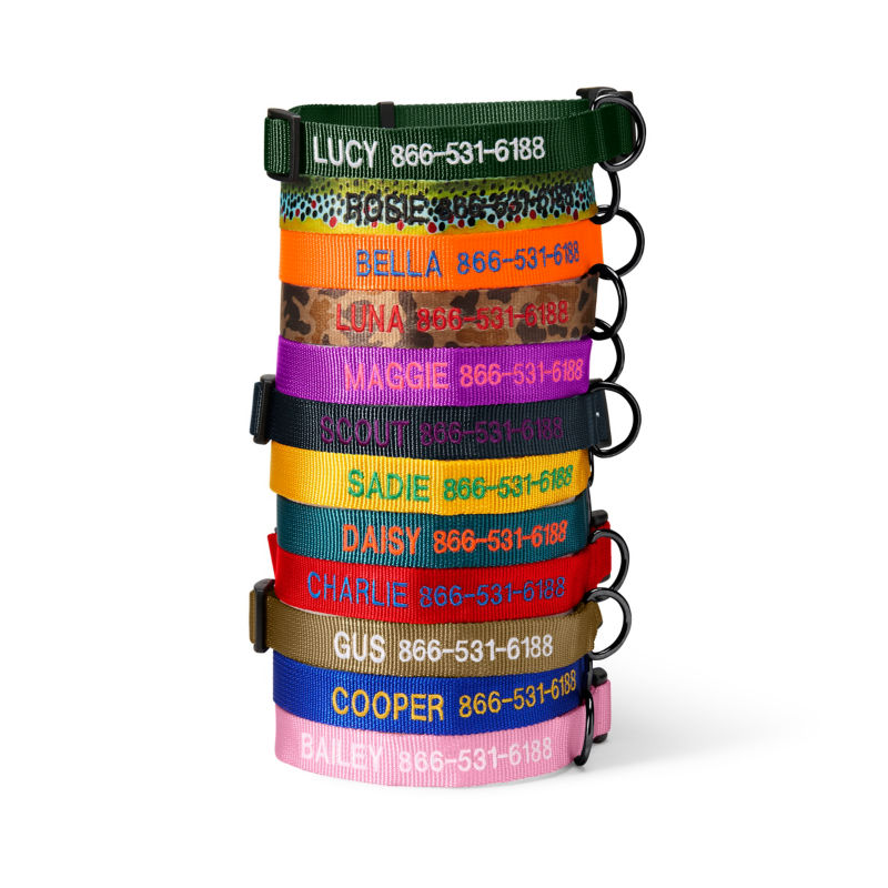 Personalized Side-Release Buckle Collar - 