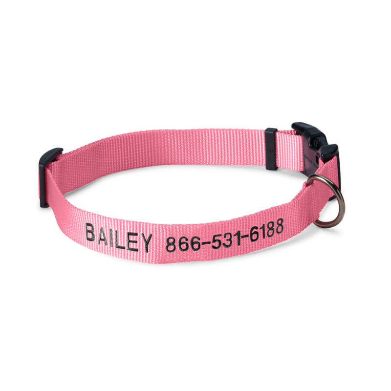 Personalized Side-Release Buckle Collar and Leash - PINK image number 0