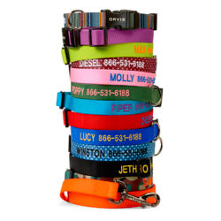 Stack of Orvis personalized collars in a colorful aray