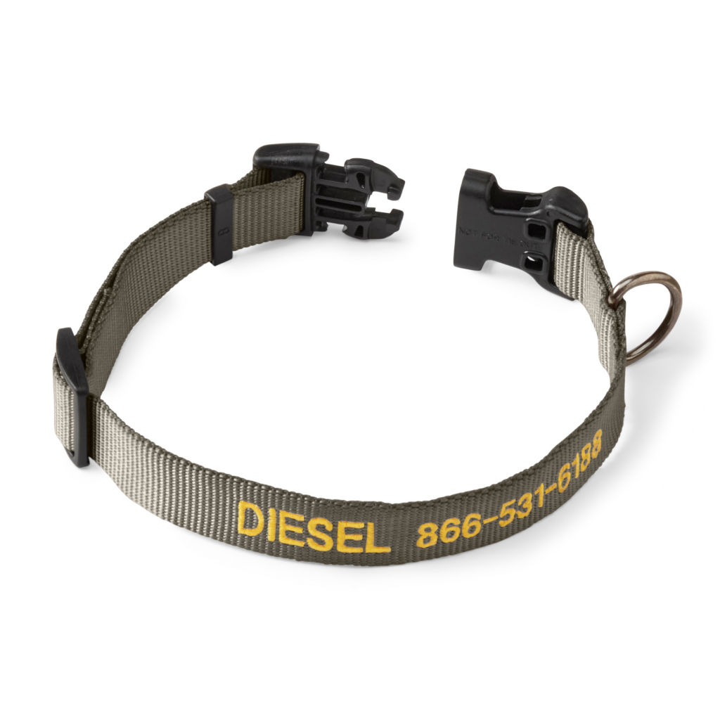Personalized Side-Release Buckle Collar - DUSTY OLIVE image number 0