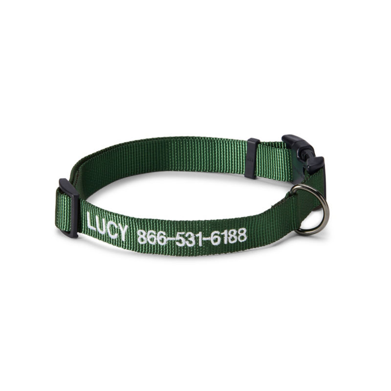 Personalized Side-Release Buckle Collar and Leash - GREEN image number 0