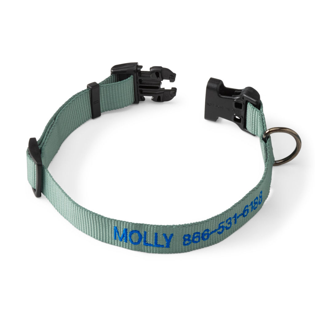 Personalized Side-Release Buckle Collar - WASABI image number 0