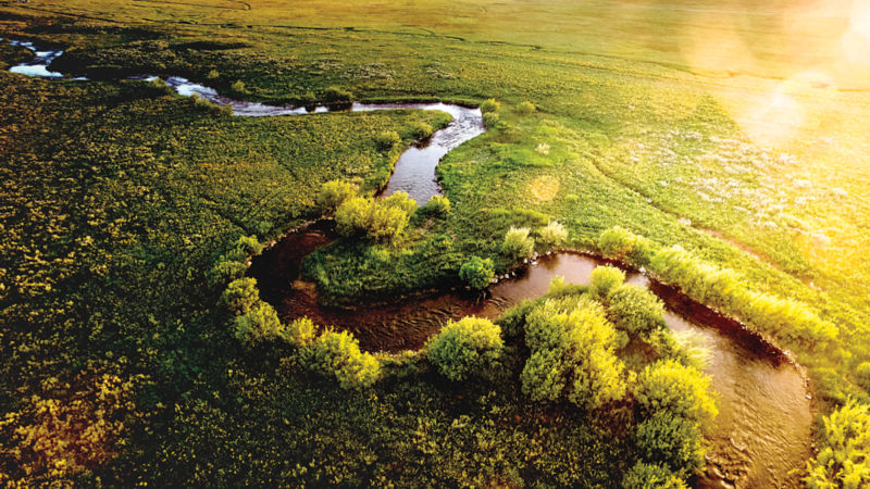 A river winds through a lush green field.