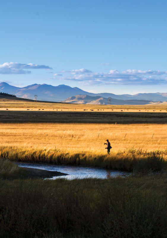 Under a moody sky, a fisherman casts into a narrow stream running through a western prairie.