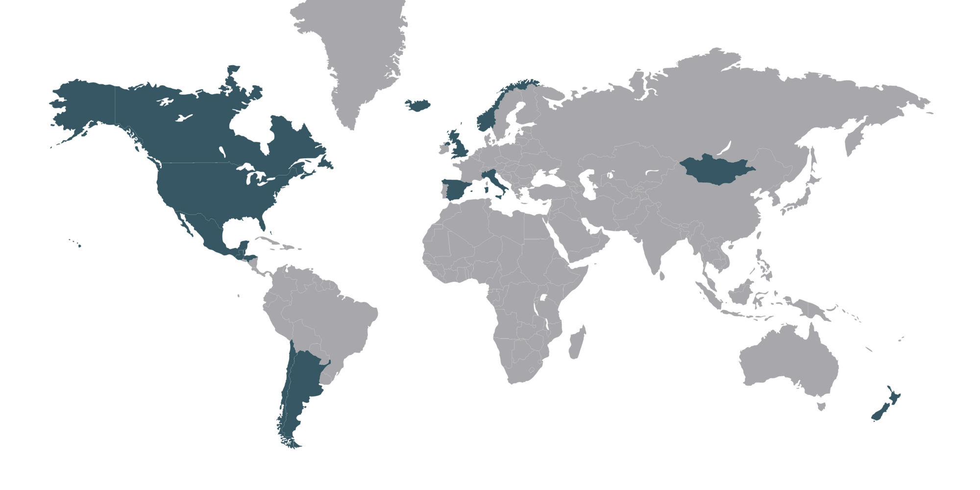 Vector rendering of the world map with individual countries outlined. 