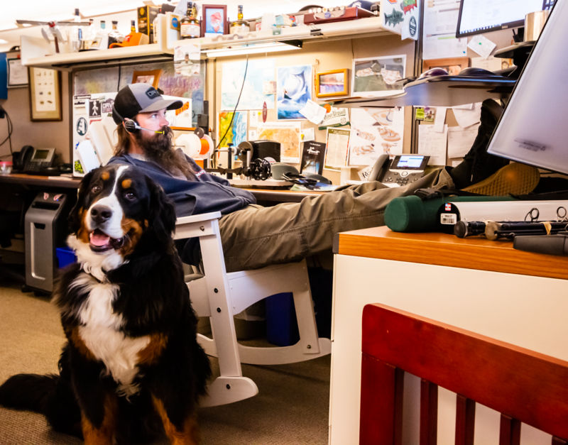A man at his office desk with his feet propped up next to his mountain dog.