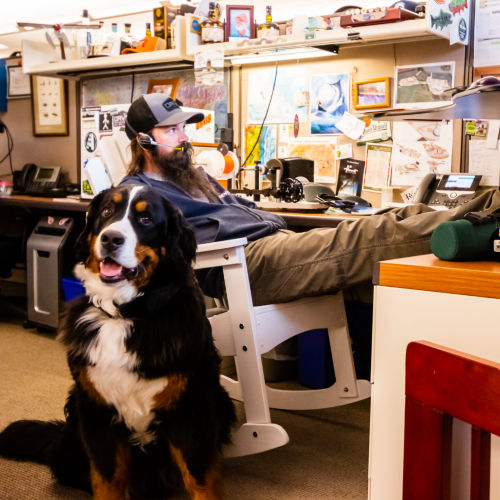 A man at his office desk with his feet propped up next to his mountain dog.