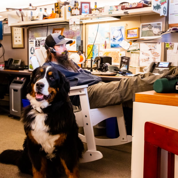 A man at his office desk with his feet propped up next to his mountain dog