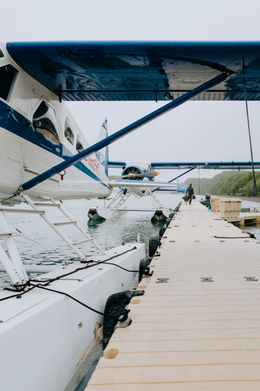 Two sea planes lined up along a dock.