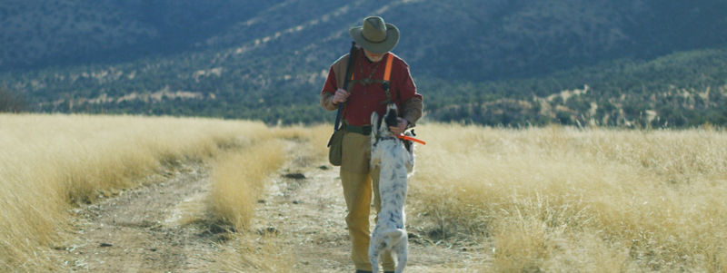 A speckled hunting dog jumps up on a hunter walking a dirt road through a field.
