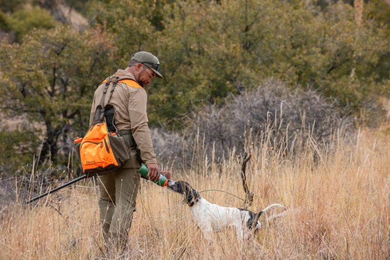 A hunter in a PRO Upland Brush Shirt gives water to his dog.
