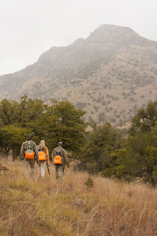 A group of three hunters walking in the fields together from the back