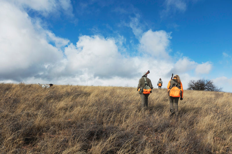 A dog races toward a downed bird while hunters follow.