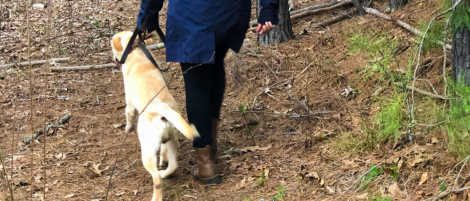 Ashley Smith walking her dog 