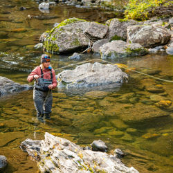 An angler casting down stream
