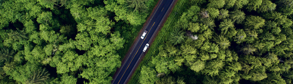 Overhead view of a forest with a road and two vehicles