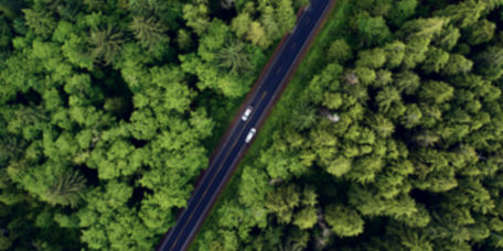 A drone view of a road slicing through a spring-green forest.