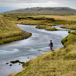 An angler standing in an Icelandic river holding a beautiful fish.