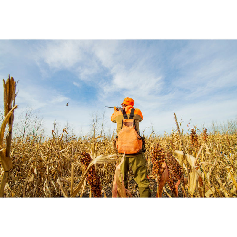 Pheasant Bonanza, NE -  image number 5