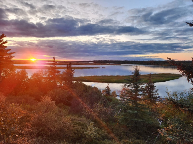 Person Fly fishing in Alaska