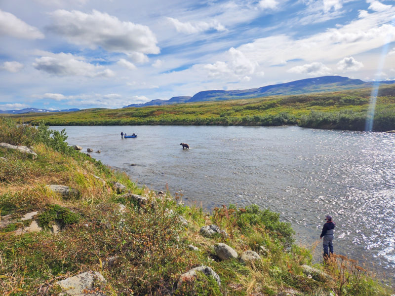 Three people stopped in a raft on an Alaskan river with a brown bear in the foreground.