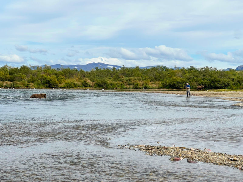 An angler fishing from a rocky riverside, with a large brown bear hunting for fish close by.