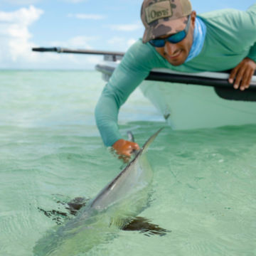 Angler in Grass Men's PRO Sun Crew releases a bonefish back into the water.