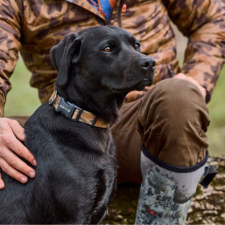 A dog wearing a '71 camo-patterned dog collar, sitting in front of its owner who is also wearing the '71 camo-printed clothing.