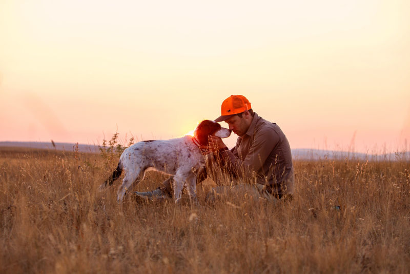 Simon Perkins sits in the dry grass at sunrise with his bird dog, Copa.