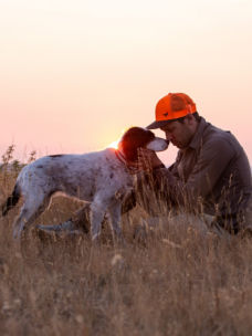 A man looking into his dog's eyes in a field during sunset