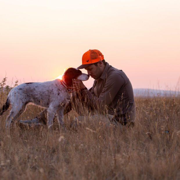 Simon Perkins sits in the dry grass at sunrise with his bird dog, Copa.