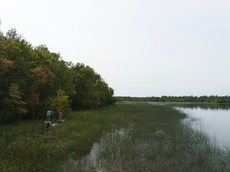 Two anglers in a boat pole through a reedy wetland.