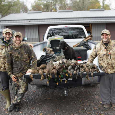 Three hunters show off their caught birds in the tailgate of a pick-up