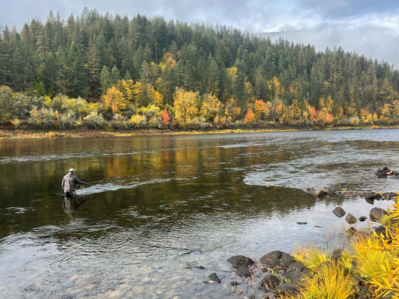 Clearwater Steelhead Syndicate -  image number 5