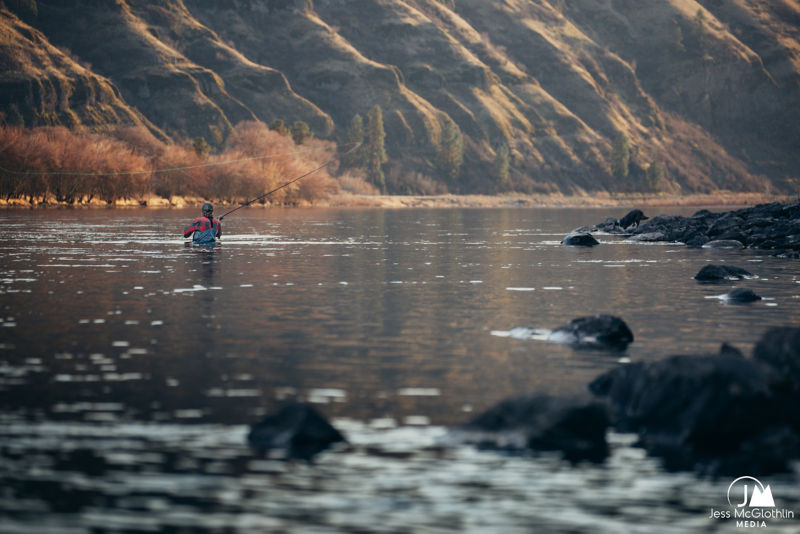 Clearwater Steelhead Syndicate - 