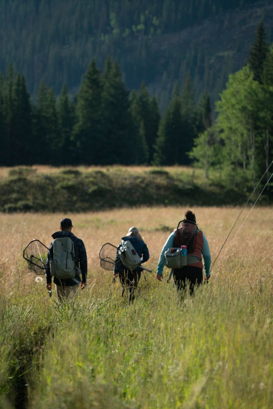 Three anglers walking away from the camera in a tall field of grass