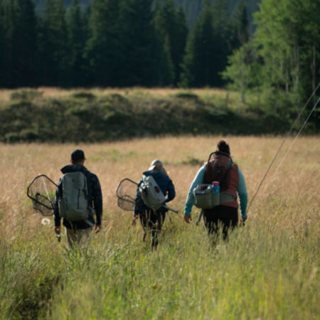 Three anglers walking away from the camera in a tall field of grass