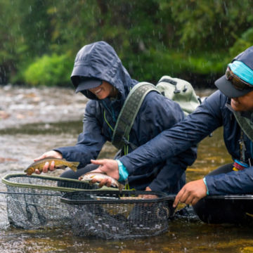 A couple of anglers hold their catches in the middle of the river in the rain.
