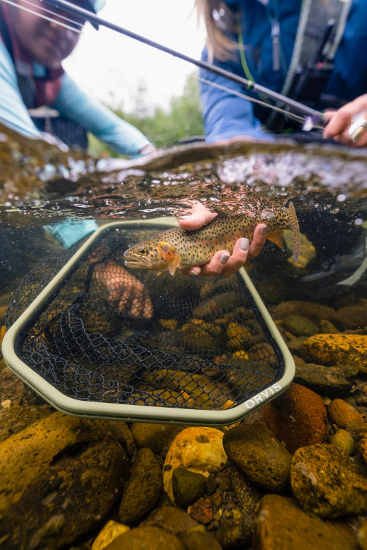 An Orvis Wide Mouth net underwater with a fish held by an angler.