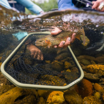 An Orvis Wide Mouth net underwater with a fish held by an angler.