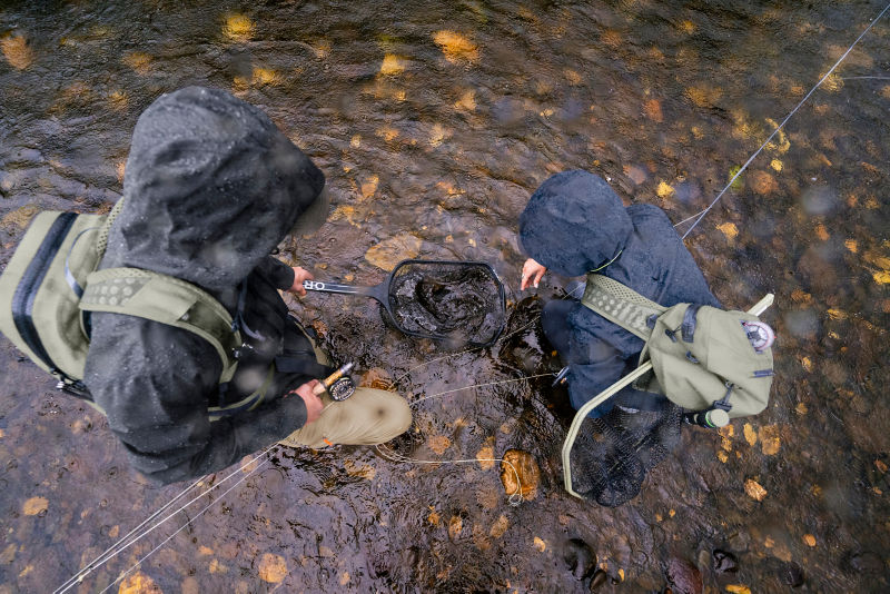 Anglers use a Wide-Mouth Guide Net in the river to net their catch.