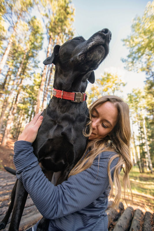 Tough Trail&reg; Dog Collar -  image number 2