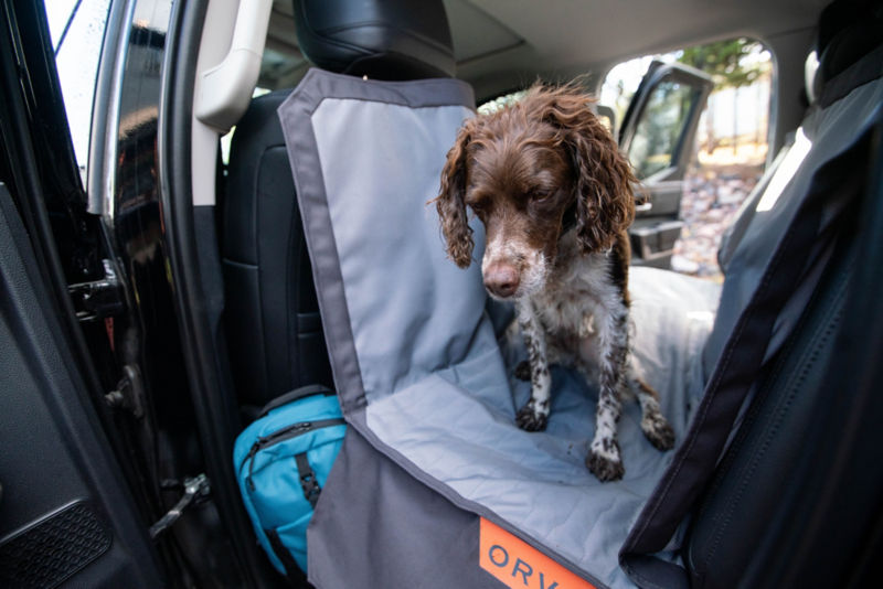 A dog sitting on a seat protector in the back of a car.