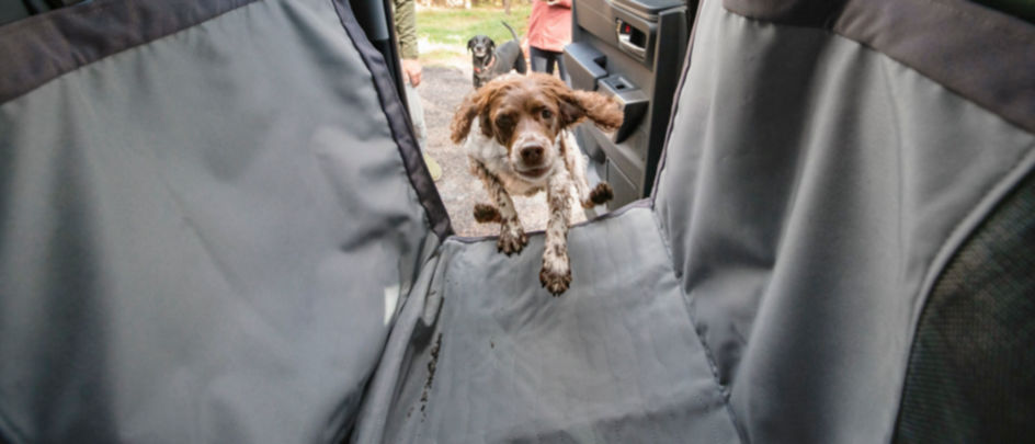A dog jumping in to the back seat of a car on a Tough Trail® Grip-Tight® Hammock Seat Protector