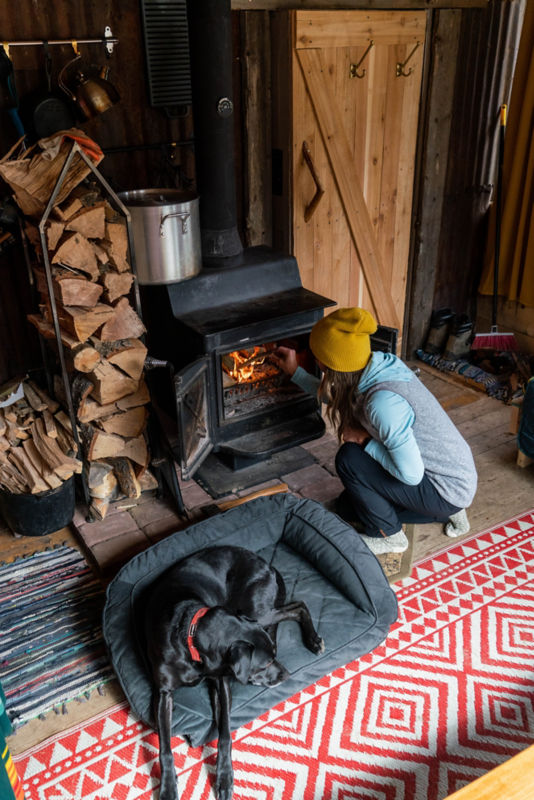 Dog sleeping in bed with a lady starting a fire in the woodstove nearby